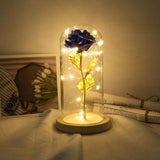 LED Beauty Rose and Beast Battery Powered