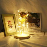 LED Beauty Rose and Beast Battery Powered