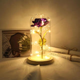 LED Beauty Rose and Beast Battery Powered